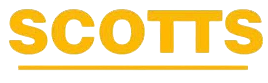 IMG-20260129-WA0011-Photoroom