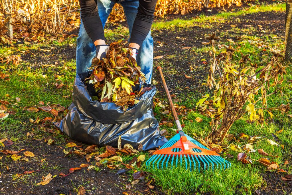 Spring Pest Checklist