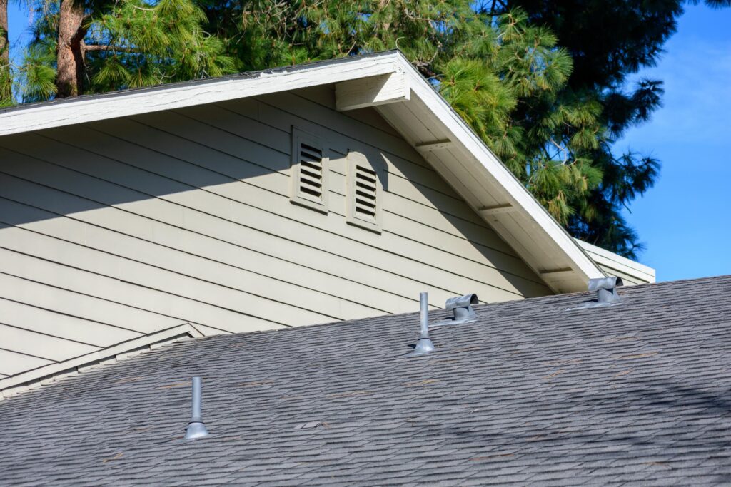 Remove Bats from Your Home