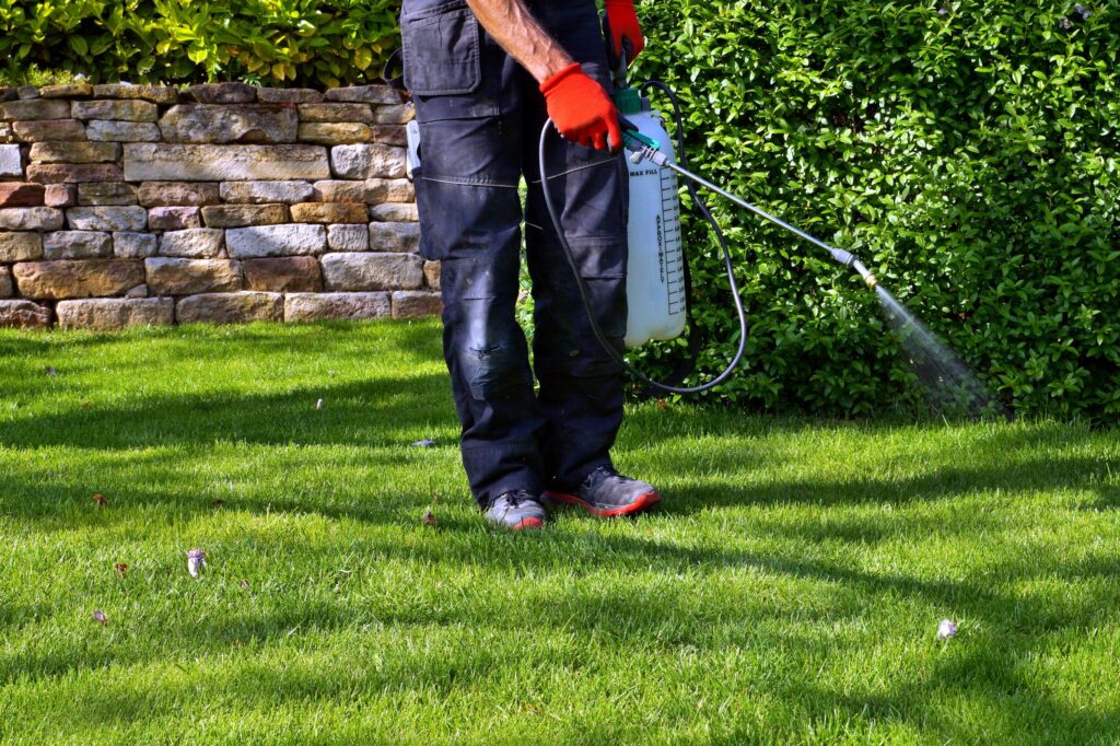 fall spider control
